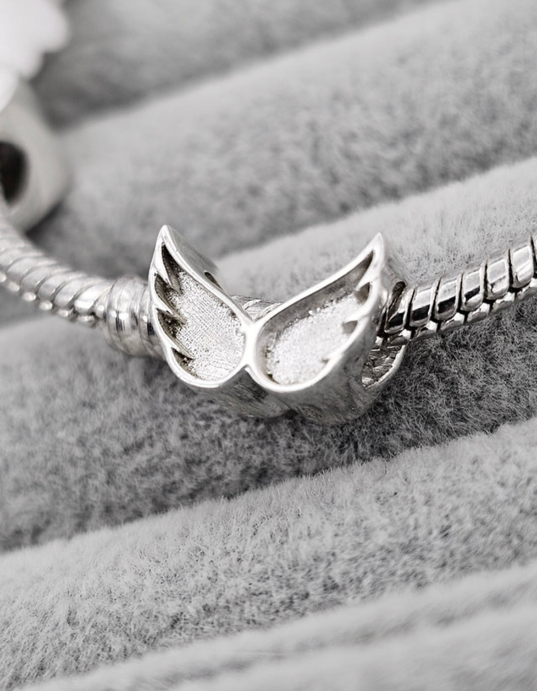 Angels Wings Charm