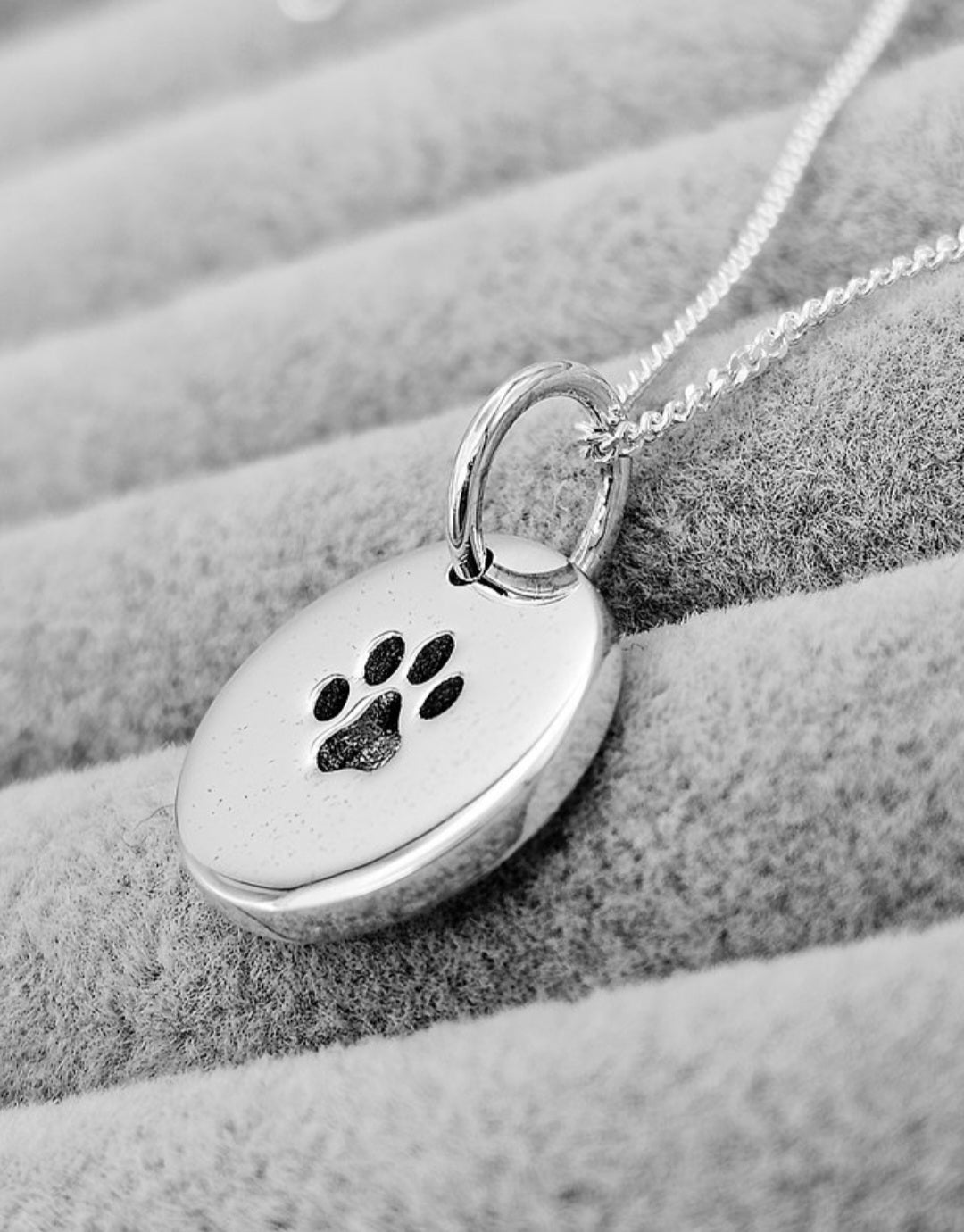 Pawprint Disc Pendant