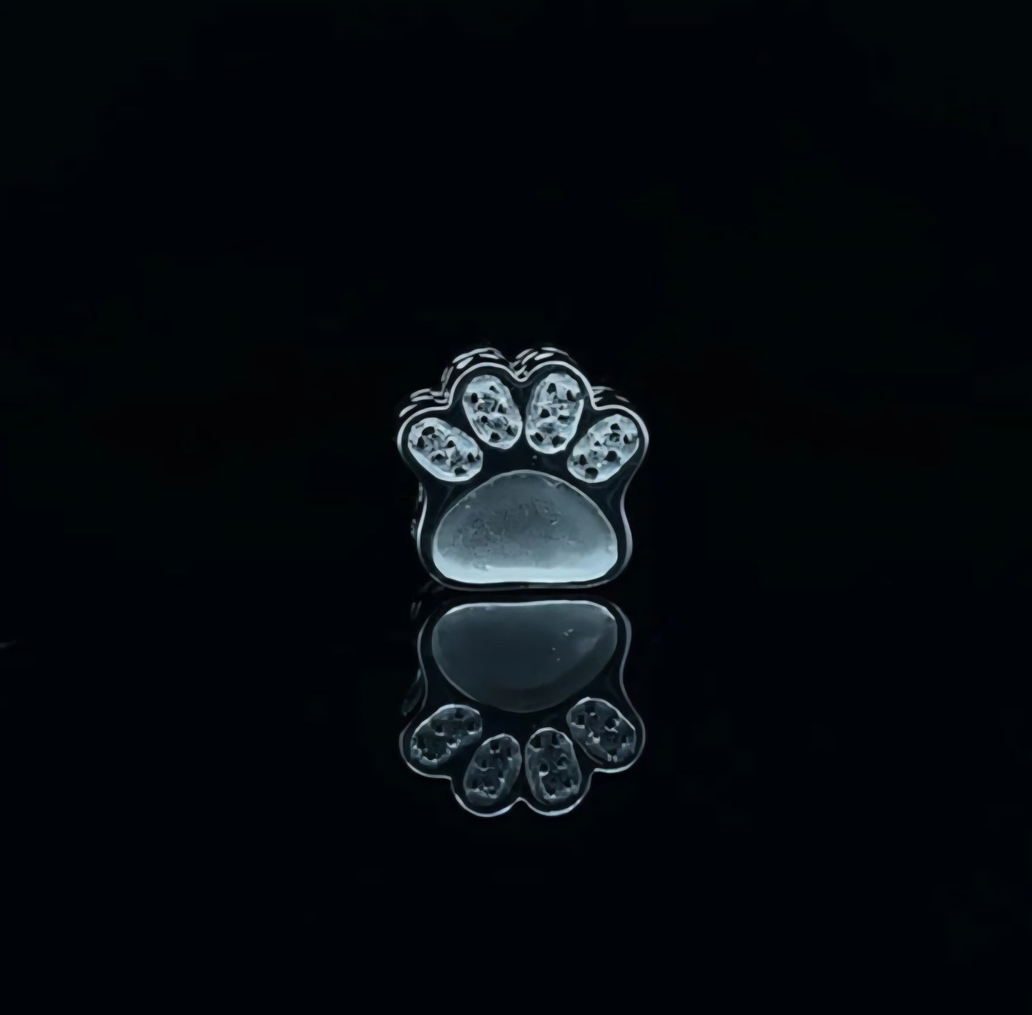 Pawprint CZ Charm